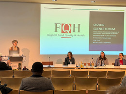 Dr. Lilliana Stefanovic introducing the Young Organic Researchers.